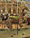 Herschell-Spillman Giraffe